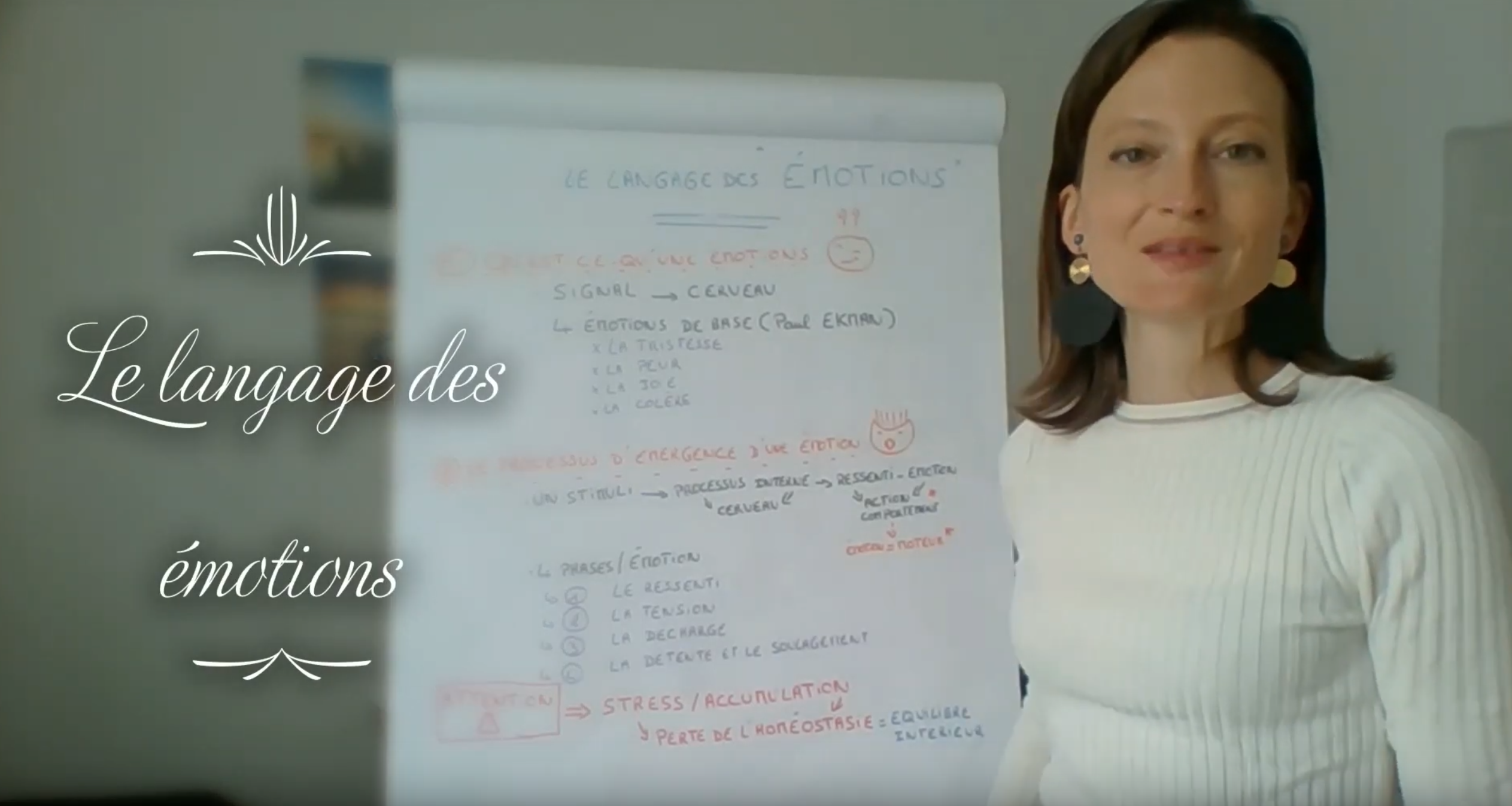 Le langage des émotions_propulsens