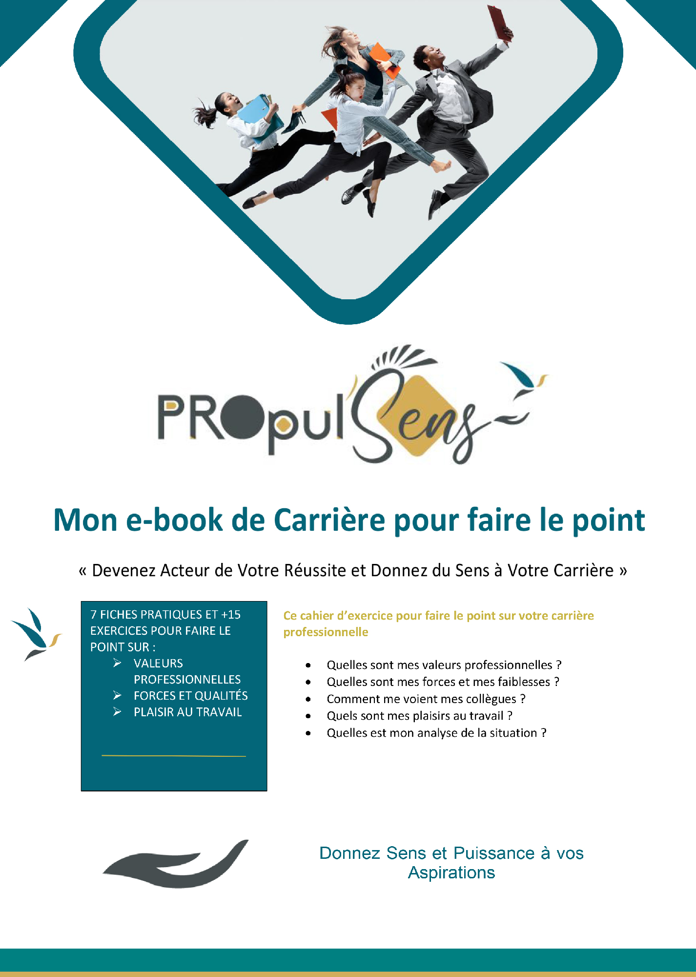 Ebook de carrière